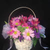 Whie basket
Lavender daisies, pink alstromerias and purple filler