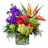 The vibrant colors of a tropical sunrise give the feel of being