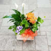 EUROPEAN GARDEN IN A CERAMIC CONTAINER BY TWIN TOWERS FLORIST

TT-DG18