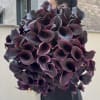 Bouquet of dark purple callas