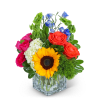 Immerse yourself in a kaleidoscope of vivid blooms with our Vibrant Valencia