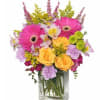 Fruit Cocktail Bouquet includes hot pink gerberas, golden yellow roses, lavender &#039;Moonshade&#039;