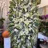 All White Flowers