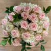 24 light pink white Ecuadorian roses on a bed of luscious hydrangeas