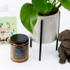 Give this gift set to anyone who has a furry best friend.
