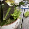 When we say not your average centerpiece, we mean it. This beautiful