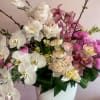 An ultra array of wonder and marvel. Pink and white peonies, poppies