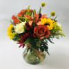 A homey selection of oranges, rusts, and yellows are perfect for any