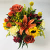 A homey selection of oranges, rusts, and yellows are perfect for any