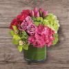 A Touch of Tropical Serenity

Soft pinks and fresh greens come together in