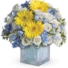 Celebrate the coolest baby boy on the block&#039;s arrival with this charming