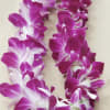 Beautiful Dendrobium orchid Lei - Available in Bombay (purple (shown) and White
Special