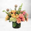 Brighten any space with Sundream Waltz, an energetic mix of vibrant orange