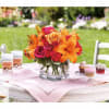 Uniquely beautiful and uniquely bright, this is a bona fide bombshell of