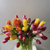 Bright, bold, and full of charm, Tulip Parade features 30 vibrant assorted