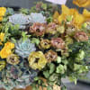 Gorgeous autumn box
