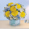 Celebrate the coolest baby boy on the block&#039;s arrival with this charming