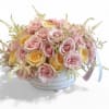 Soft pink and cheerful yellow roses bloom together in a crisp white