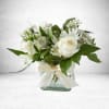 GRACEFULS BOUQUET
These elegant bright blooms are designed to celebrate the beauty of