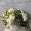 This enchanting arrangement combines the beauty of succulents, white hydrangeas, and green
