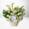 Elegant, serene, and timeless &mdash; Ivory Vale Tribute is a premium all-white