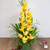 Beretania&#039;s Cymbidium Orchid Arrangement (Yellow)