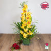Beretania&#039;s Cymbidium Orchid Arrangement (Yellow)