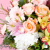 Approx. size: 14&quot; High x 10&quot; Wide
Size category: Medium Size, perfect for