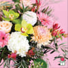 Approx. size: 12&quot; High x 10&quot; Wide
Size category: Medium Size, perfect for