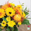 Approx. size: 8&quot; High x 6&quot; Wide
Size category: Petite Size, perfect for