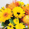 Approx. size: 8&quot; High x 6&quot; Wide
Size category: Petite Size, perfect for