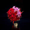 An all-red masterpiece. Roses, carnations, and orchids blend in a vibrant and