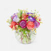 [ Height: 10&#039;&#039; - 11&#039;&#039; | Diameter: 11&#039;&#039; - 12&#039;&#039; ]
This refreshing