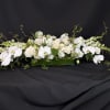 Elegant White Orchid &amp; Rose Arrangement: Elevate any occasion with our luxurious
