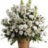 White alstroemeria, snapdragons and stock in a beautiful basket is a gift