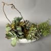 ***The size of succulents and look vary on inventory. ****
Picture shows 3