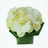 (12) Our #1 best seller for classically beautiful white arrangements! In this