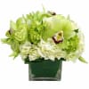 (34) Elegant, all white arrangement in a square, clear vase. The perfect