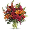 The bright stuff for punching up anyone&#039;s mood! Bring happiness to any