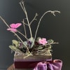 2 African Violets in a variety of colors delivered in a wooden