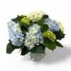 Simple and classic summer blooms available all year round. Just hydrangea blooms