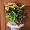 Our Blooming Basket is just the right size for tabletop or coffee