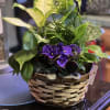 Our Blooming Basket is just the right size for tabletop or coffee
