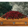 A loving embrace of rich, regal roses in an all-red spray to