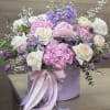 Product Information
In some instances, our photo may represent an overall theme or