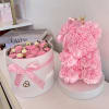 Duo Sweet Chocolate &amp; Teddy Bear for Birthday, Anniversary gifts and All