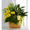 Garden plants with cut flowers