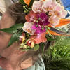 A Large sized Hair Clip featuring Tropical Flowers. Minimum 5 days notice
