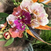 A Large sized Hair Clip featuring Tropical Flowers. Minimum 5 days notice