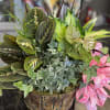 A large mixed garden with several green plants in a metal or